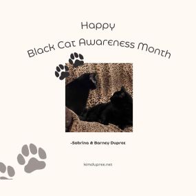 Happy Black Cat Awareness Month