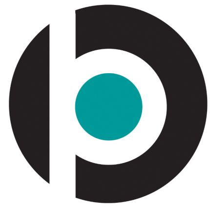 Logotipo de Bridge Philanthropic Consulting, LLC