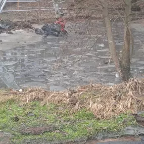 Bild von Zemni práce Furdis