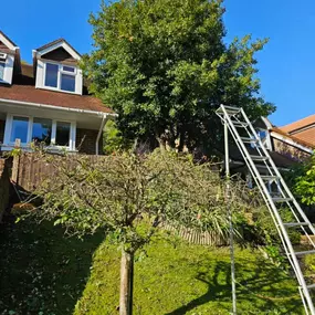 Bild von Lee's Tree Services