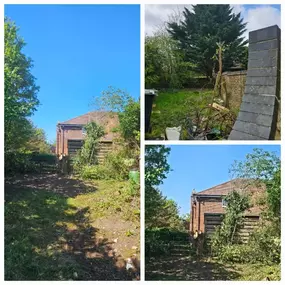 Bild von Lee's Tree Services