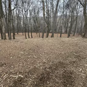 Bild von TK Land Management LLC