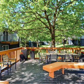 Outside deck with chairs and tables underneath a large tree.