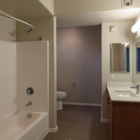 Bathroom with a shower tub and a vanity.