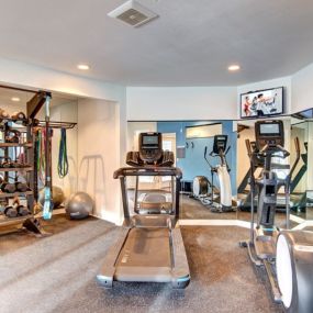 Cardio equipment and weights in the gym.