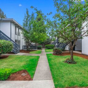 Grass and trees surround the walkways at charming Capri Apts. in Mountlake Terrace, WA