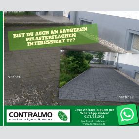 Bild von CONTRALMO