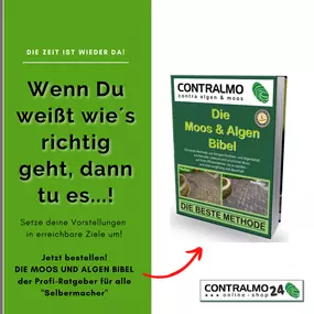 Bild von CONTRALMO