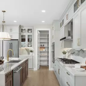 Gourmet kitchens with smoke storage space and pantries
