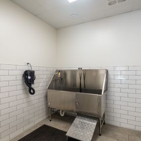 Pet wash room with white tiled walls and pet spa station