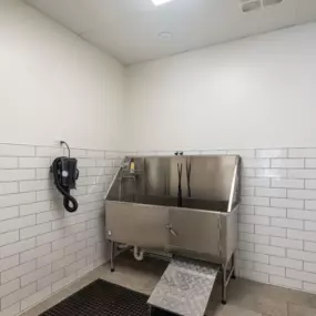 Pet wash room with white tiled walls and pet spa station