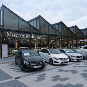 Mercedes-Benz Niederlassung Mannheim