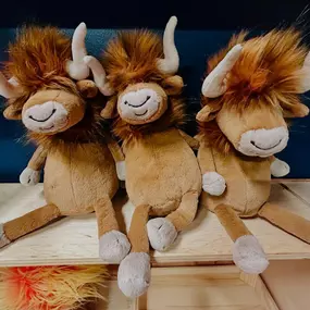 These 3 bulls look like they’ve been up to no good! #doctaylorstoyemporium #jellycat #ramonebull #toystore #ellicottcitymd