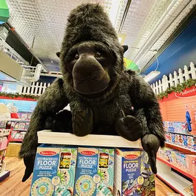 Feeling a little bananas today? ????
Come monkey around with us! ????

From cuddly plush chimps to jungle-themed games, we’ve got everything to turn your day into a wild adventure. ???? Swing by and see what’s new — Doc Taylor’s is more fun than a barrel of monkeys!