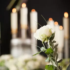 Bild von Lebenskreis Bernauer Bestattungen