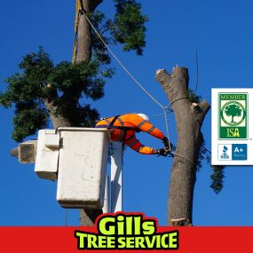 Bild von Gills Tree Service