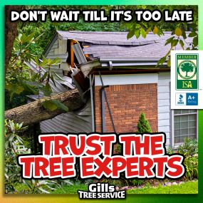 Bild von Gills Tree Service