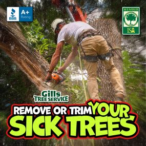 Bild von Gills Tree Service
