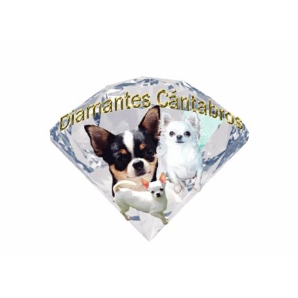 Logo de Diamantes Cantabros