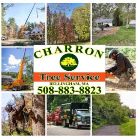 Bild von Charron Tree Service