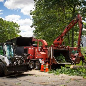 Bild von Charron Tree Service