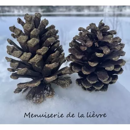 Logo da Menuiserie Lièvre Sàrl