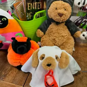 Hey, boo! ????????????‍⬛
#shopthetoggery #toggerykids #halloween #boobox #toystorelittlerock #childrensboutiquelittlerock #arkansas