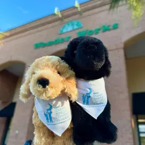 We are HUGE supporters of the MUSC Shawn Jenkins Children’s Hospital and all of the amazing work they do for kids & families! When they contacted us about getting some custom plush for patients, we were beyond happy to continue our partnership with them. These cuddly friends are ready to greet and comfort kids.???? 
Stay tuned with us here on social media as we launch another give back initiative this Fall!