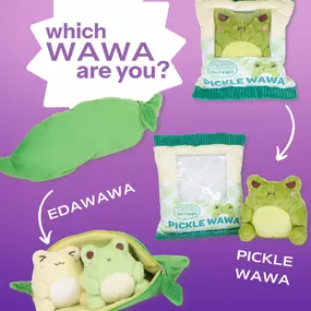 I don't know exactly why, but I do know I'm feeling 100% ???????? Pickle Wawa today. ???? How about you?

#slctoys #slctoystore #utah