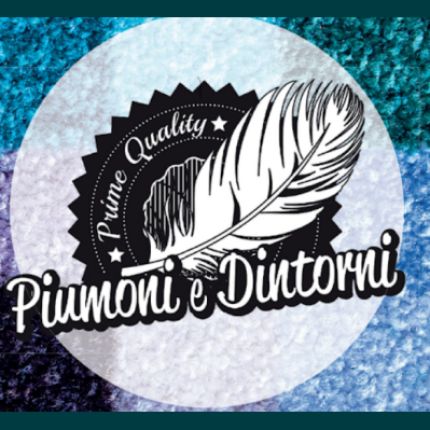 Logo von Piumoni e Dintorni