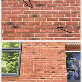 Bild von Prestige Stone & Surface Repair Ltd