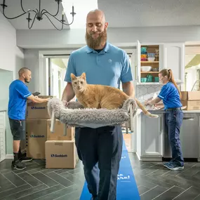 Moving with pets