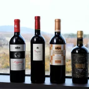 Bild von Vinos y viñas