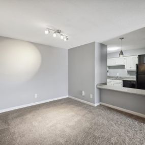 Living room and open kitchen