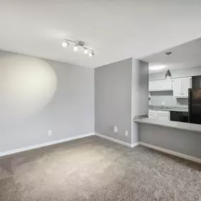 Living room and open kitchen