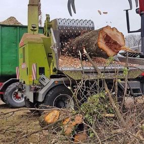 Bild von Duwenhorst René Garten-Landschaftsbau-Tiefbau