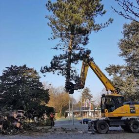 Bild von Duwenhorst René Garten-Landschaftsbau-Tiefbau