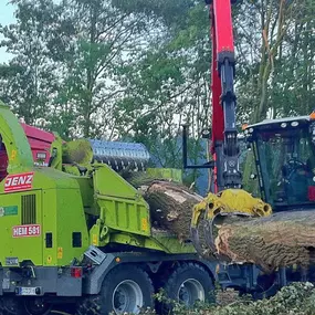 Bild von Duwenhorst René Garten-Landschaftsbau-Tiefbau