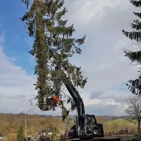 Bild von Duwenhorst René Garten-Landschaftsbau-Tiefbau