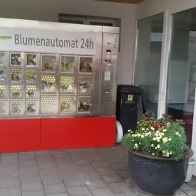 Bild von hollenstein blumengarten ag, Blumenshop, Gärtnerei, Gartenbau