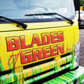 Bild von Blades of Green