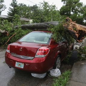 Spring time brings thunderstorms and that means the possibility of storm damage. Spartek specializes in removing trees from driveways, roof tops, vehicles and electrical hazards. When you see a tree down, we can help.