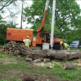 We are definitely in storm season. If you find limbs in your yard or even a downed tree, we can help. The individuals who make up the Spartek Team are experts in tree removal and storm clean-up. We will have your home cleaned up before you know it. Check out our website to see our services.