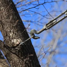 We often think that splitting trees might soon need to be removed. But LJWorld.com explains how cabling can save split trees. https://www2.ljworld.com/news/2012/dec/27/garden-calendar-give-splitting-trees-life-support/.   

Spartek's cabling and bracing systems can stabilize the tree, allowing it to grow for a decade. Learn more at our website.