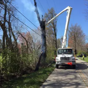 To reach high tree tops, we use the best cranes available. They are top quality and do the job in any location or situation you might have. Spartek's crews are trained and certified, as well, ensuring that you and your property will be safe.