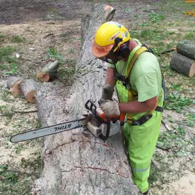 No tree is too big or dangerous for Spartek Tree Service! Our expert team specializes in safe, efficient tree removal, even in tight spaces. Your safety and satisfaction are our top priorities. Need a tree removed? Visit our website to learn more.