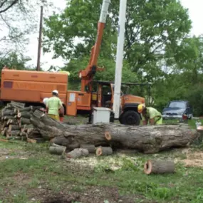 Spartek is there when emergency storm damage happens. We specialize in removing trees from roof tops, barns and driveways. Our team is trained to deal with electrical hazards, as well.