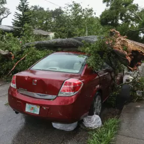 Spring time brings thunderstorms and that means the possibility of storm damage. Spartek specializes in removing trees from driveways, roof tops, vehicles and electrical hazards. When you see a tree down, we can help.