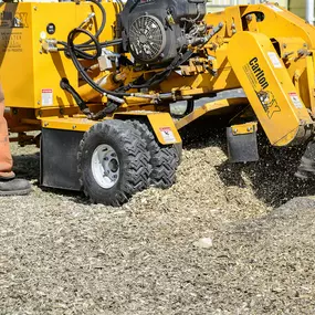 Stump grinding is a process that grinds down a tree stump while leaving the roots intact. The stump grinder's rotating blade, which has sharp teeth or cutting tips, chews away at the stump, turning it into mulch that's a few inches deep. See our services at our website.