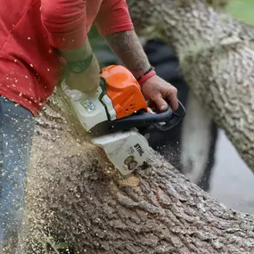 Looking for expert tree care? Spartek Tree Service offers comprehensive solutions like tree pruning, storm damage cleanup, and stump grinding. We’re certified, fully insured, and committed to enhancing your property’s beauty. Call us today for a free estimate!